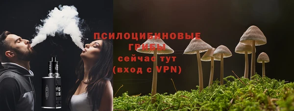 spice Арсеньев