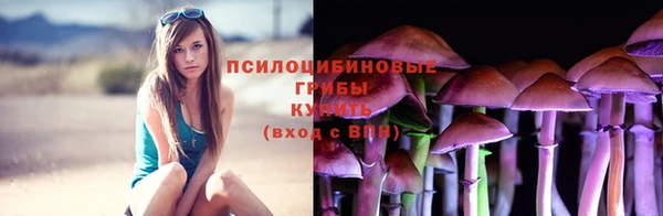 spice Арсеньев