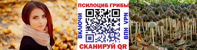 omg   Урюпинск  Псилоцибиновые грибы ЛСД  как найти закладки 